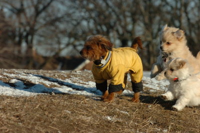 Feb23_07_366.JPG