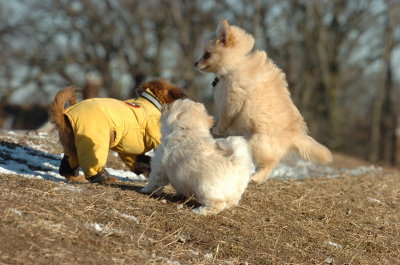 Feb23_07_368.JPG