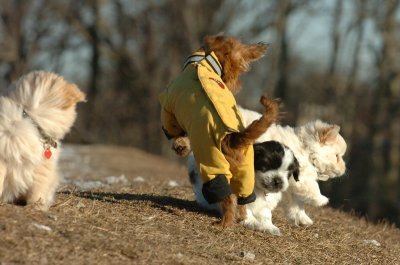 Feb23_07_372.JPG