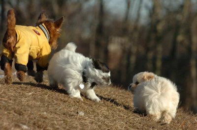 Feb23_07_373.JPG