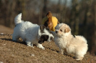 Feb23_07_374.JPG