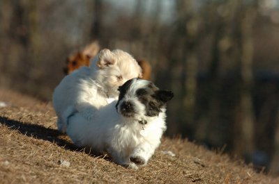Feb23_07_379.JPG