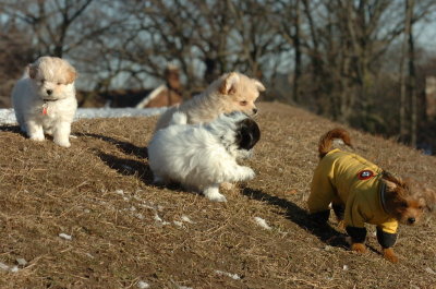 Feb23_07_387.JPG