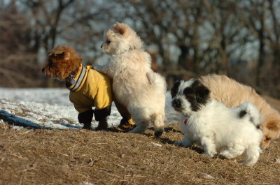 Feb23_07_388.JPG