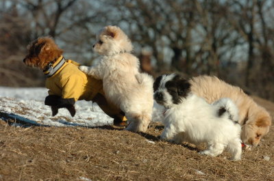 Feb23_07_389.JPG