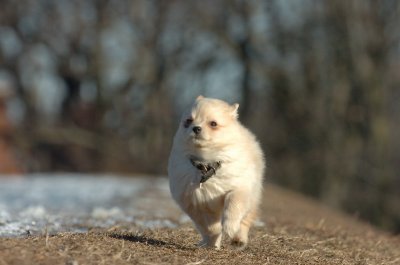 Feb23_07_392.JPG