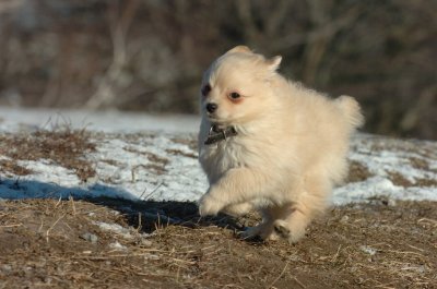 Feb23_07_394.JPG