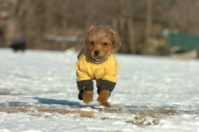 Feb23_07_397.JPG