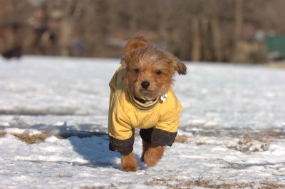 Feb23_07_398.JPG