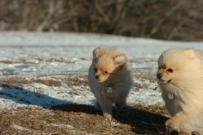 Feb23_07_399.JPG