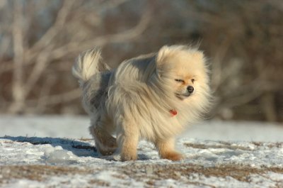 Feb23_07_409.JPG