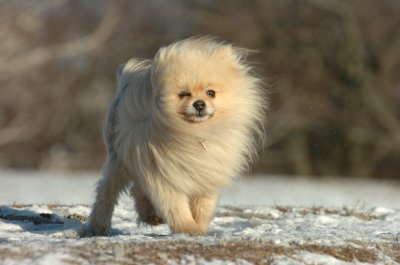Feb23_07_411.JPG