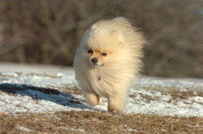 Feb23_07_413.JPG