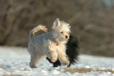 Feb23_07_415.JPG