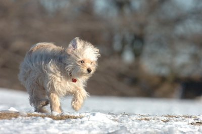 Feb23_07_416.JPG