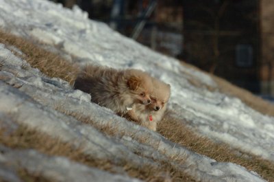 Feb24_07_044.JPG