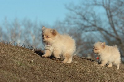 Feb24_07_050.JPG