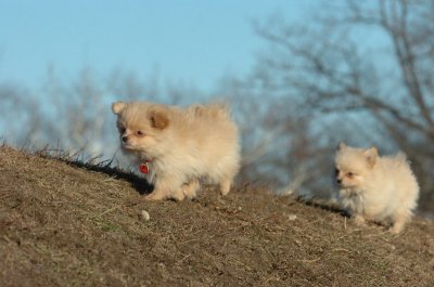 Feb24_07_051.JPG