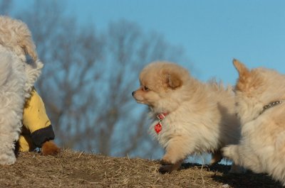 Feb24_07_058.JPG