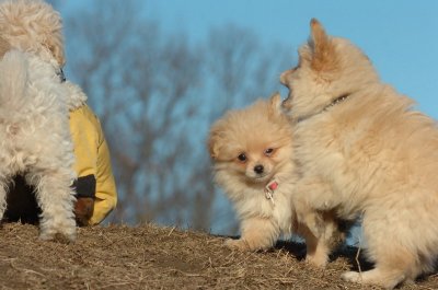 Feb24_07_060.JPG
