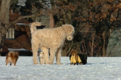 Feb24_07_061.JPG