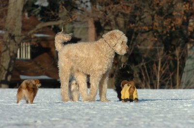Feb24_07_062.JPG