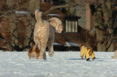 Feb24_07_066.JPG