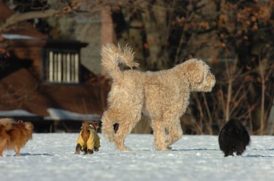 Feb24_07_067.JPG