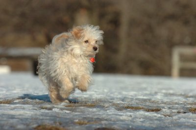 Feb24_07_071.JPG