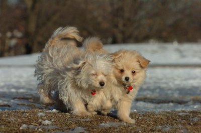 Feb24_07_077.JPG