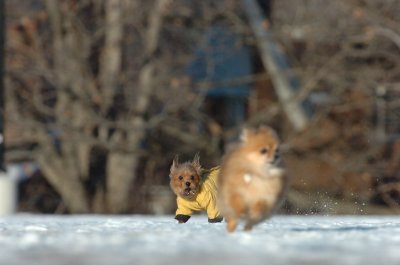 Feb24_07_079.JPG