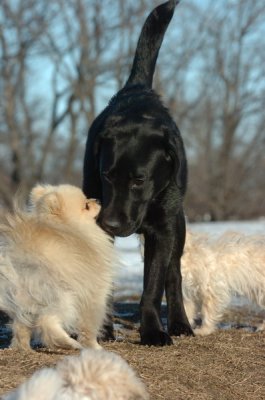 Feb24_07_080.JPG