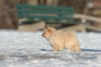 Feb24_07_084.JPG