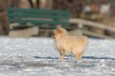 Feb24_07_085.JPG