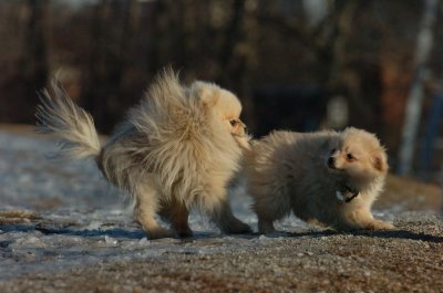 Feb24_07_104.JPG