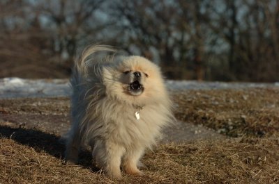 Feb24_07_106.JPG