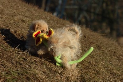 Feb24_07_112.JPG