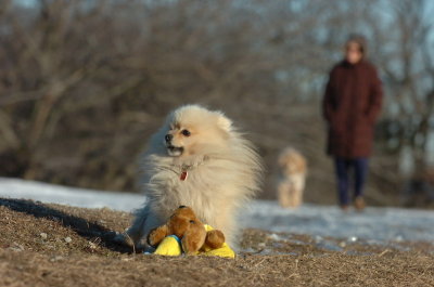 Feb24_07_143.JPG
