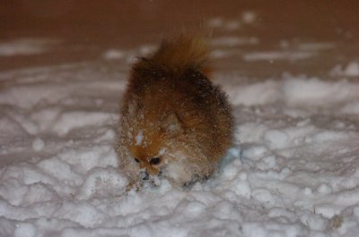 Feb25_07_011.JPG