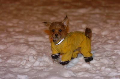 Feb25_07_049.JPG