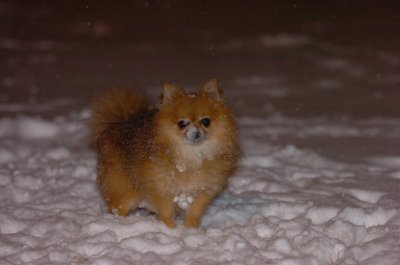 Feb25_07_050.JPG