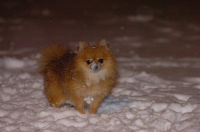Feb25_07_051.JPG