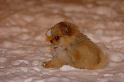 Feb25_07_052.JPG