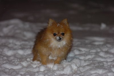 Feb25_07_057.JPG