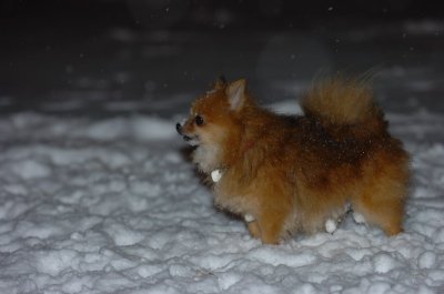 Feb25_07_059.JPG