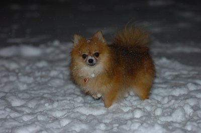 Feb25_07_060.JPG