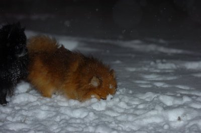 Feb25_07_062.JPG
