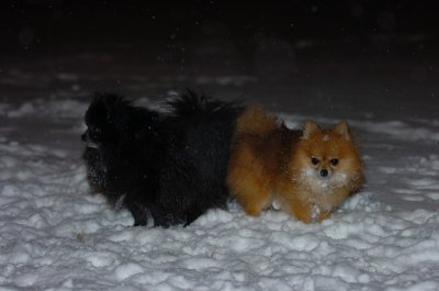 Feb25_07_063.JPG
