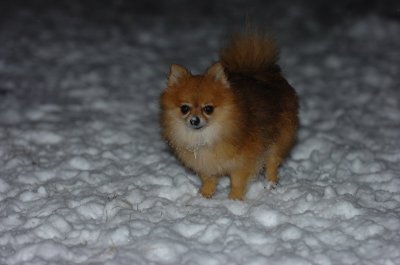 Feb25_07_066.JPG
