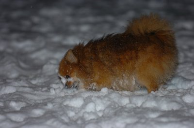 Feb25_07_070.JPG